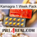 Kamagra 1 Week Pack new01